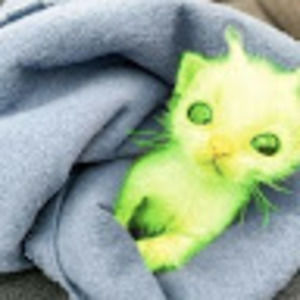 Meet your Posher, Rosalyn